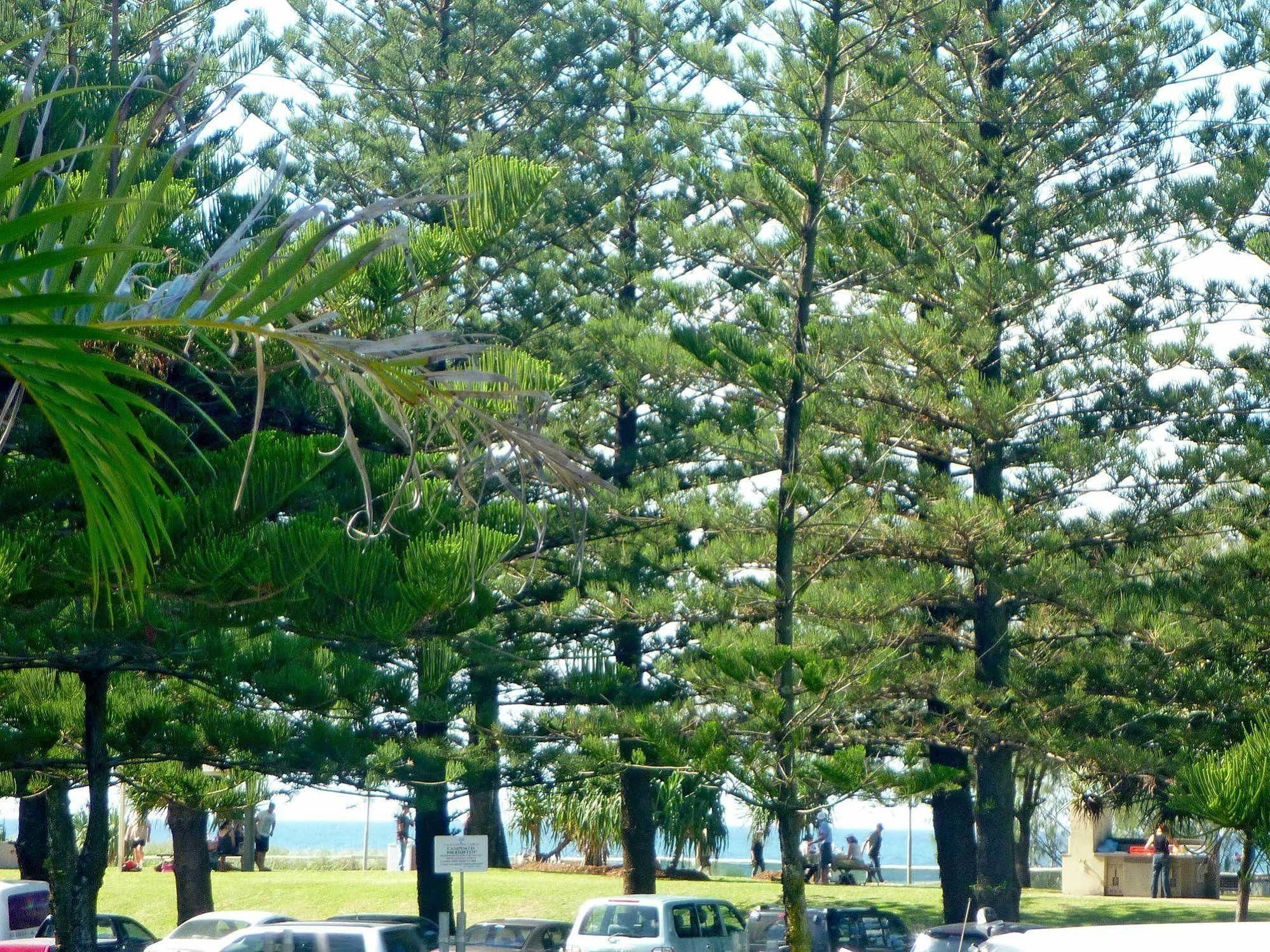 Main Beach Tourist Park Hotel Exterior photo